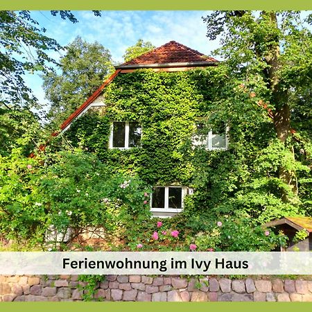 Ivy Haus Apartman Falkensee Kültér fotó